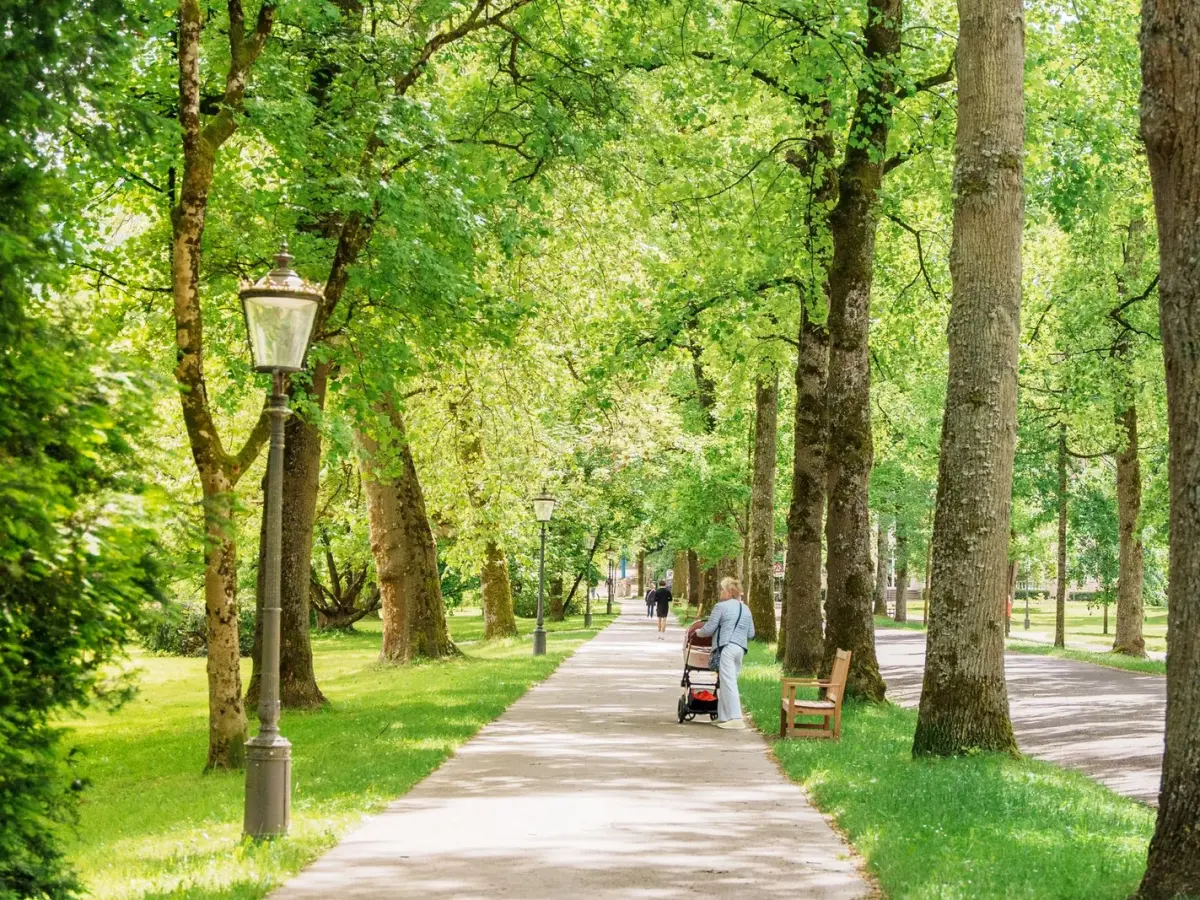 A parent pushing a stroller along a tree-lined path in a sunny green park